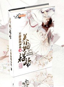 《名门媳/养媳谋略》