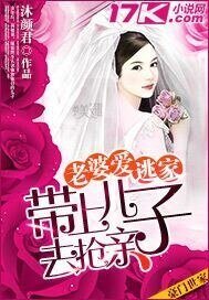 《老婆爱逃家:带上儿子去抢亲 》