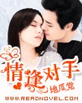 《情逢对手》