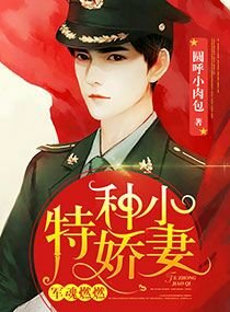 《军魂燃燃:特种小娇妻/少帅燃情:吾妻很美》