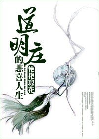 《(流星花园同人/BG)道明庄的悲喜人生》