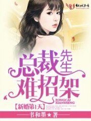 《新婚第1天,总裁先生难招架》