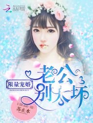 《限量宠婚:老公,别太坏!》