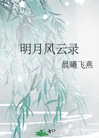 明月風雲錄